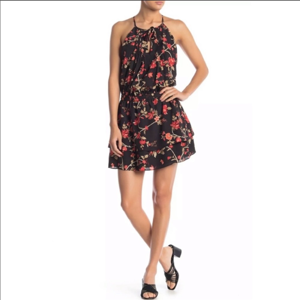 Joie Dress